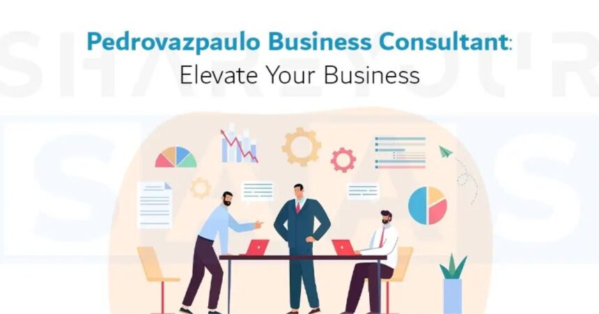 Pedrovazpaulo Business Consultant